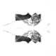 Illustration for article titled Shooting Challenge Rorschach Gallery